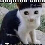Merve