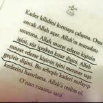 Rabia
