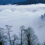 Pardahal