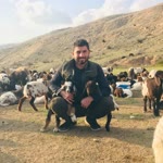 Vedat
