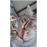 Ufuk