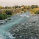 Zeynep
