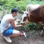 Ramazan