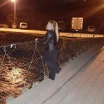Elif