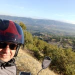 Erdal