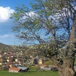 Erdoğan