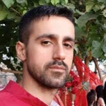 Hadi