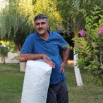 Metin