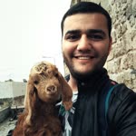 Mustafa