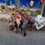 Ercan