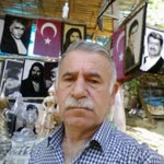 Ali