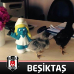Cansın