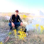 Asaf