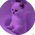 Irmak