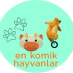 Suat