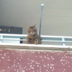 Ufuk