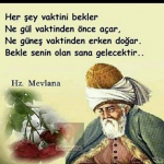 Medline
