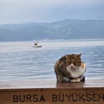 Berkay