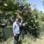 Sinan