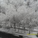 Osman