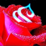 Rıdvan