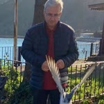 Vedat