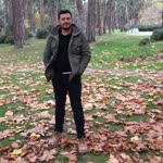 Ali