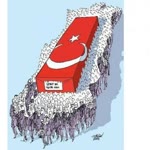 Nur