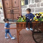 Merve