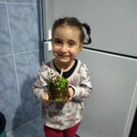Emine