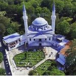 Birgül