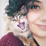 Buse