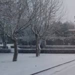 Kumsal