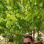 Melih