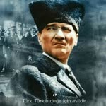 Mert