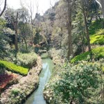 Orhan