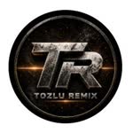 Tozlu