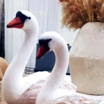 Irına
