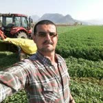 Mahmut