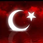 Nur