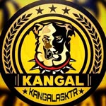 Vahşi