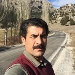 Murat