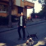 Umut