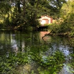 Müjgan