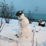 Halil