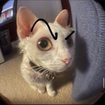 Hasan