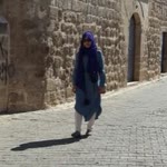Seher