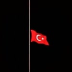 Sedat