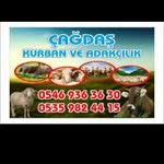 Çağdaş