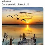 Yeliz